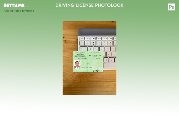модерен стил Габон dl photolook ПРЕДЕН шаблон